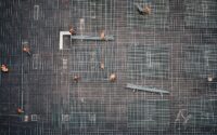 aerial photo of people in park at daytime